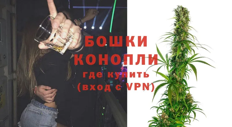 где купить наркотик  kraken зеркало  Бошки марихуана THC 21%  Курган 